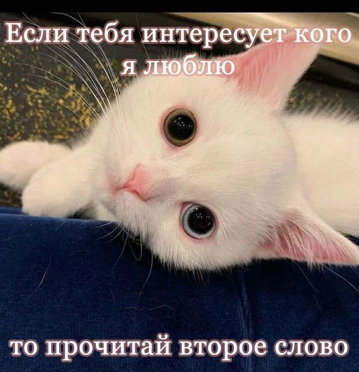 1747547181103.png