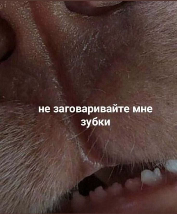 1747550962699.png