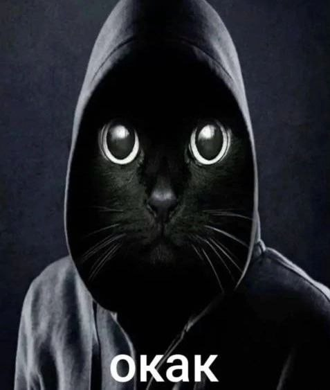 1747559127417.png