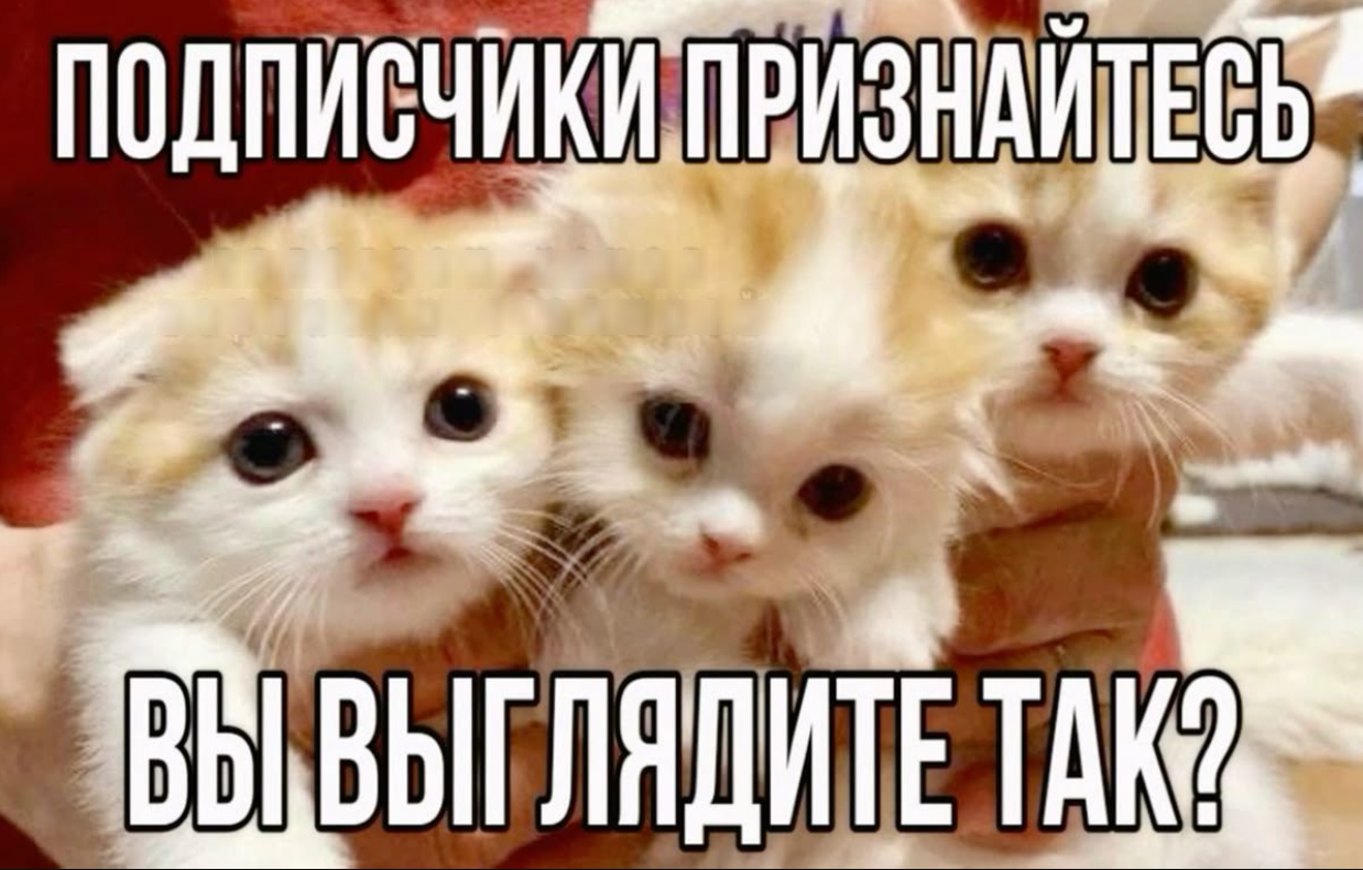 1747590873806.png