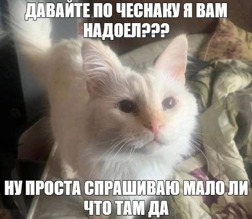 1747649204160.png