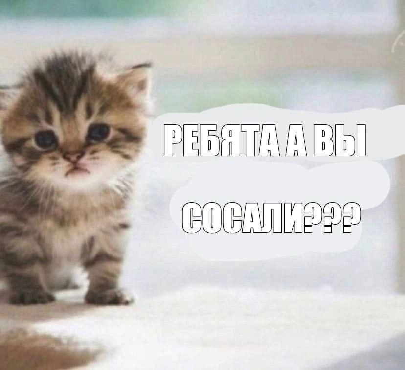 1747649300508.png