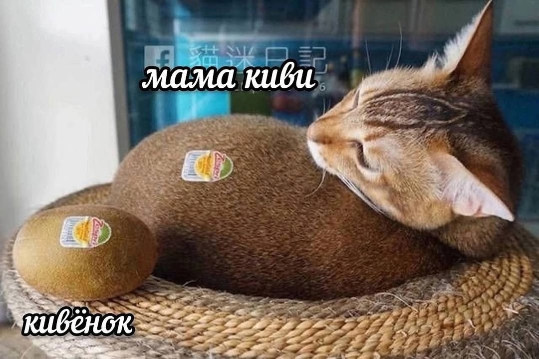 1747649884650.png