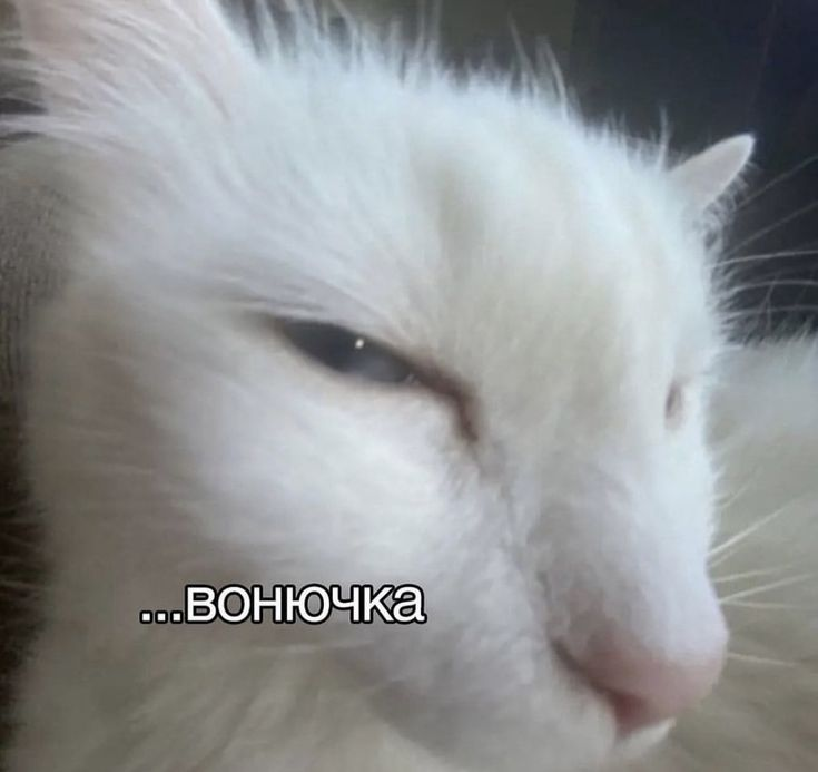 1747758971542.png