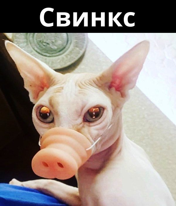 1747837107856.png