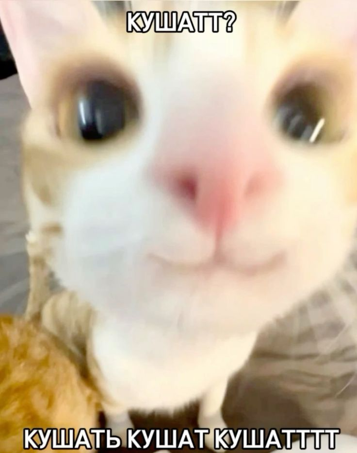 1747854444857.png