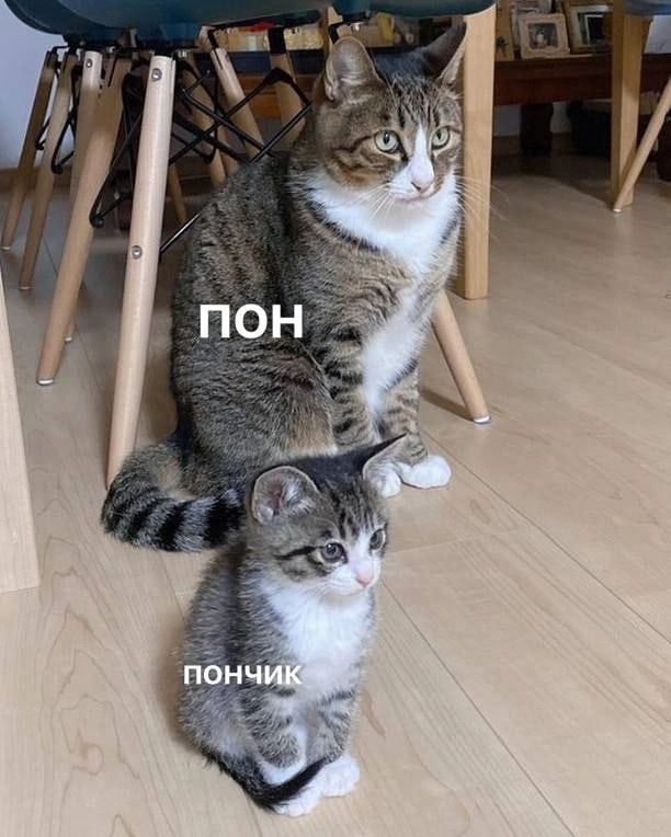1747914361819.png
