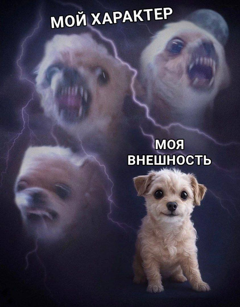 1748013475092.png