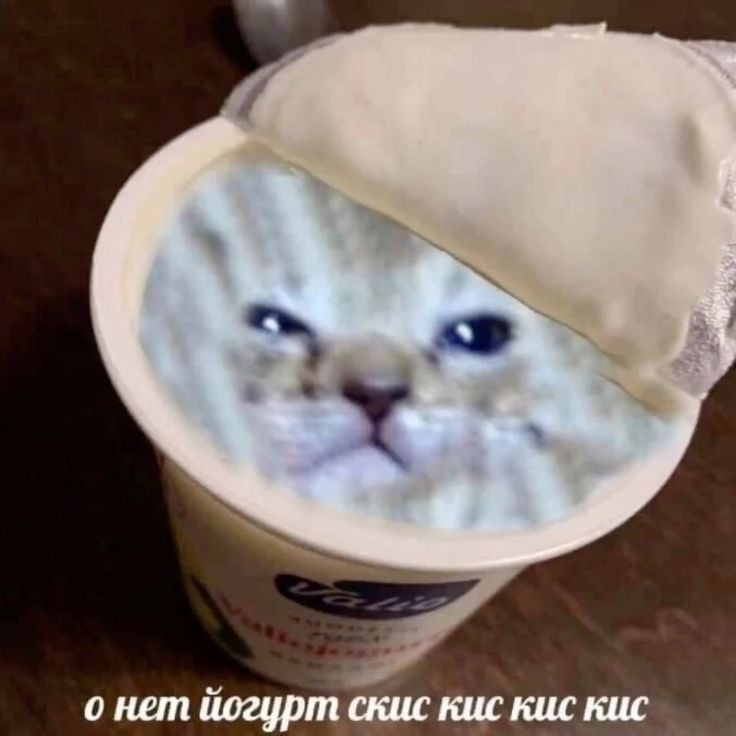 1748027692214.png