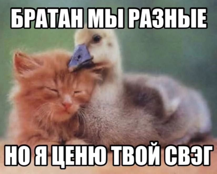 1748113966702.png