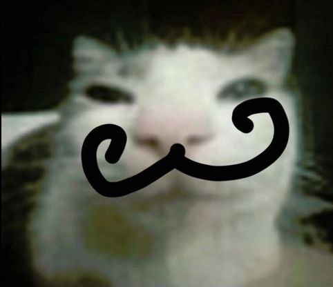 1748171478130.png