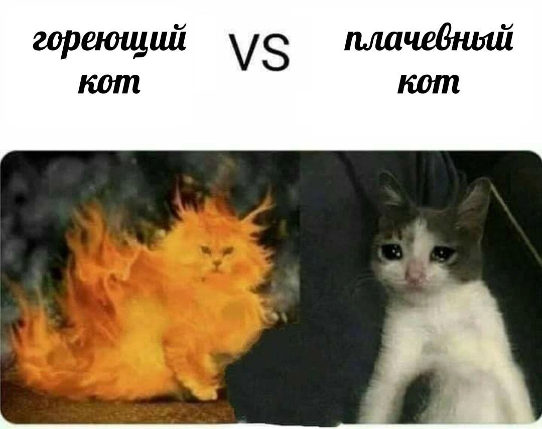 1748243210540.png