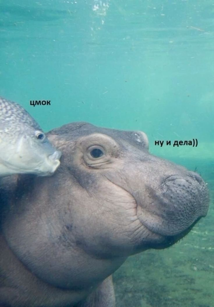 1748281690623.png