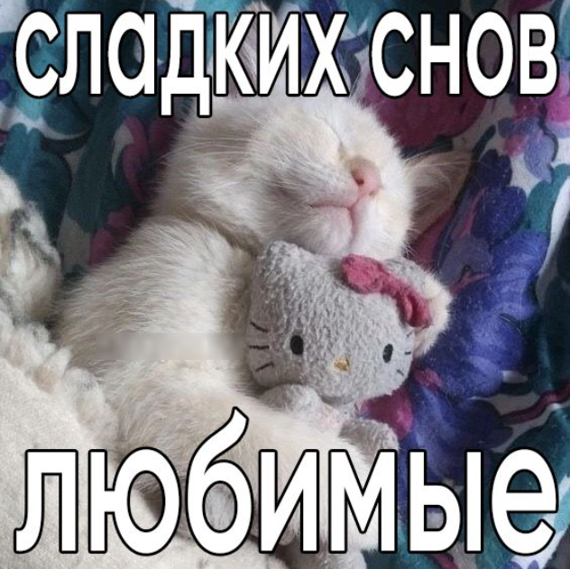 1748289315400.png 1748289315400.png