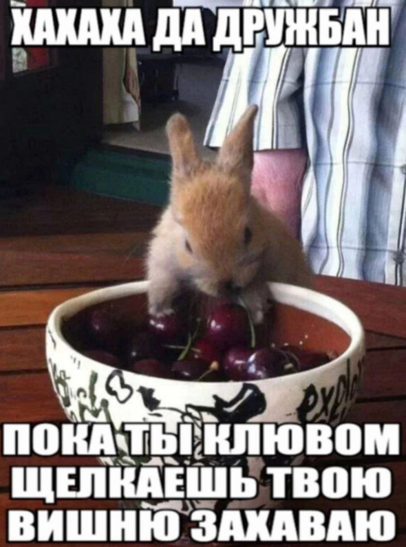 1748331732534.png