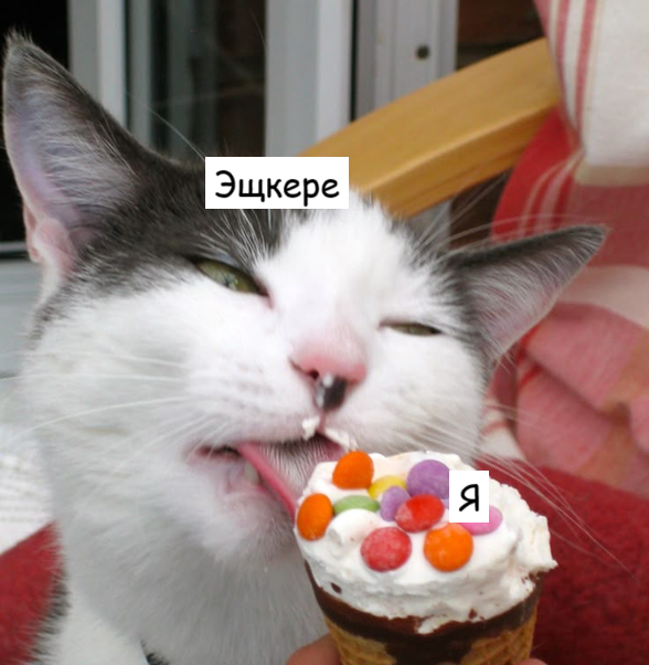 1748436245854.png