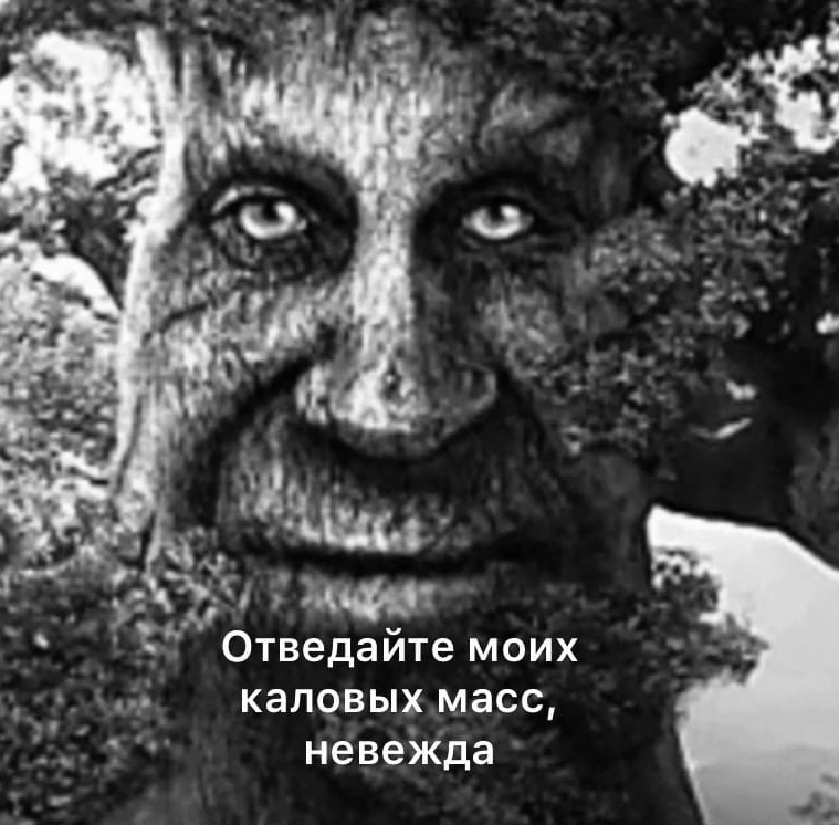 1748451207602.png