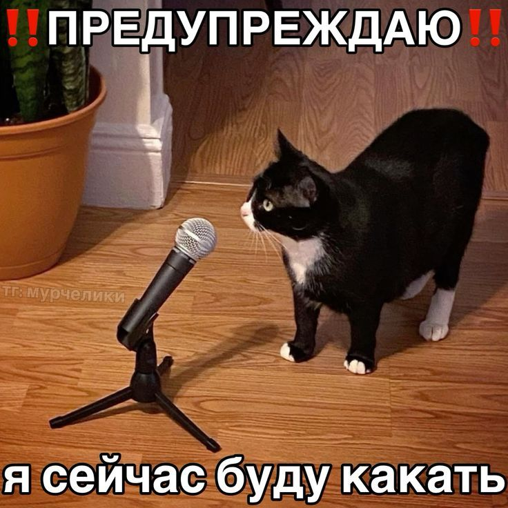 1748456331522.png