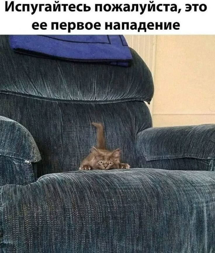 1748509494216.png