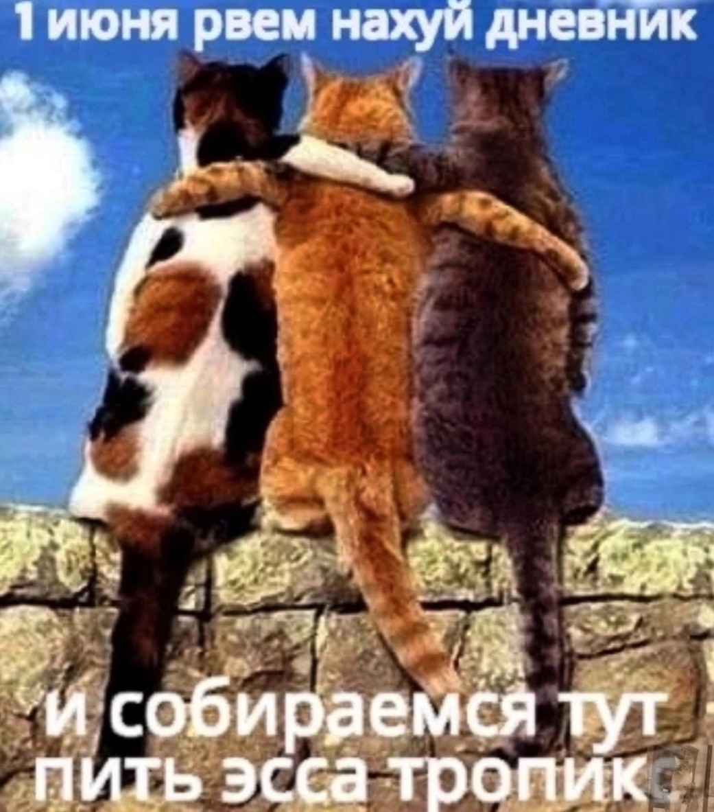 1748684460221.png