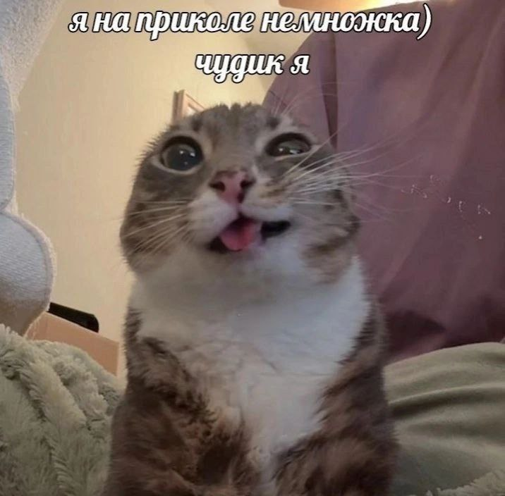 1748701385813.png