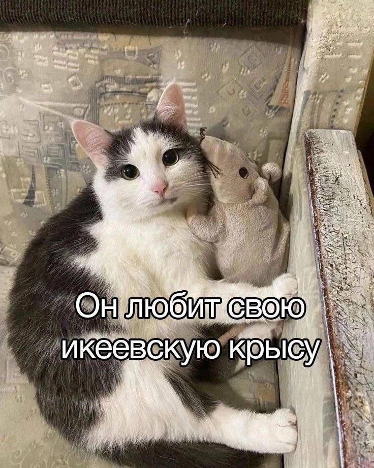 1748884925318.png