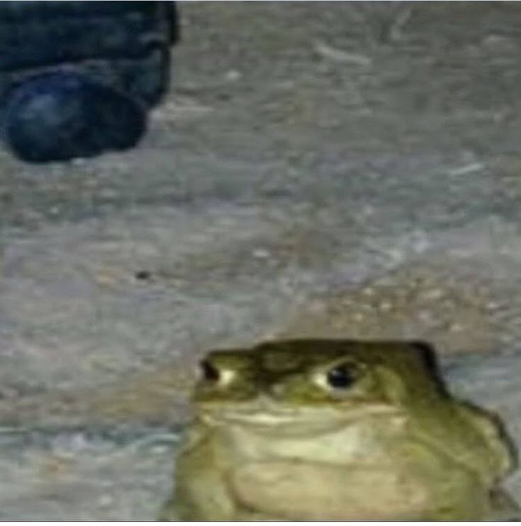 1748969372256.png
