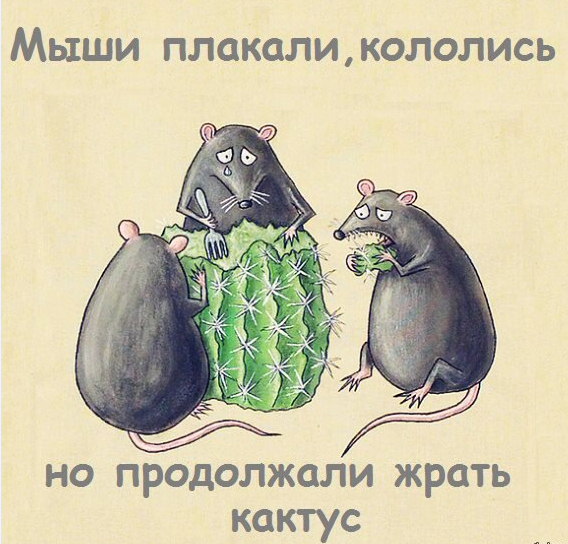 1749113382250.png
