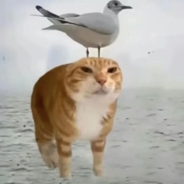 1749300534495.png