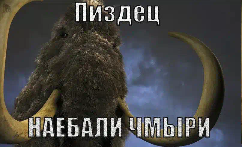 1749312068592.png