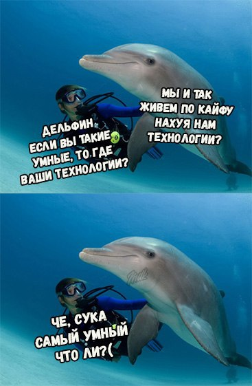 1749559294171.png