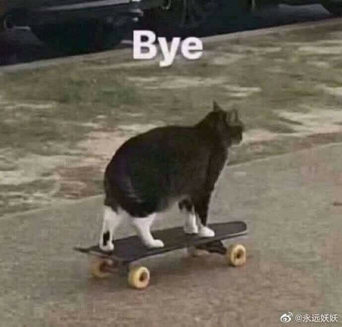 1749597328332.png