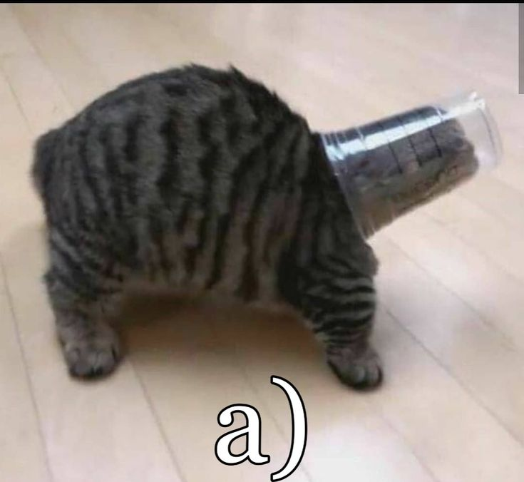 1750064946947.png