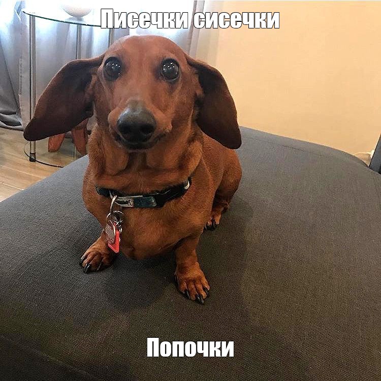 1750065908606.jpeg