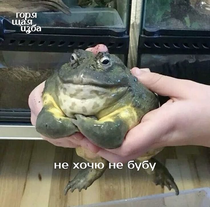 1750077098463.png
