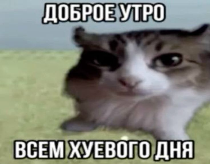 1750109411794.png