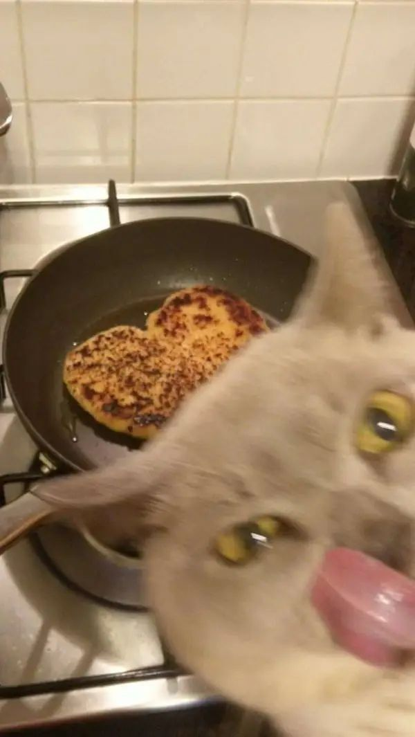 1750174952707.png