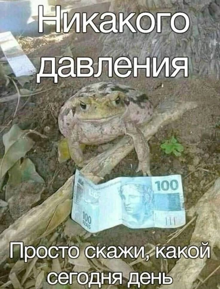 1750235309985.png