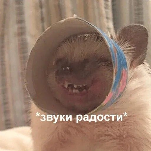 1750282894695.png