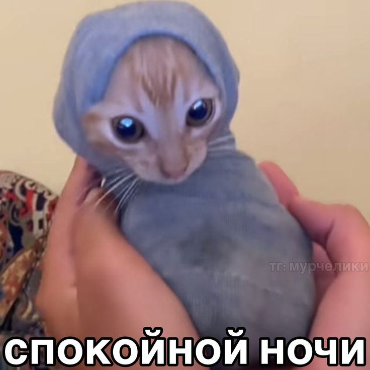 1750544327300.png