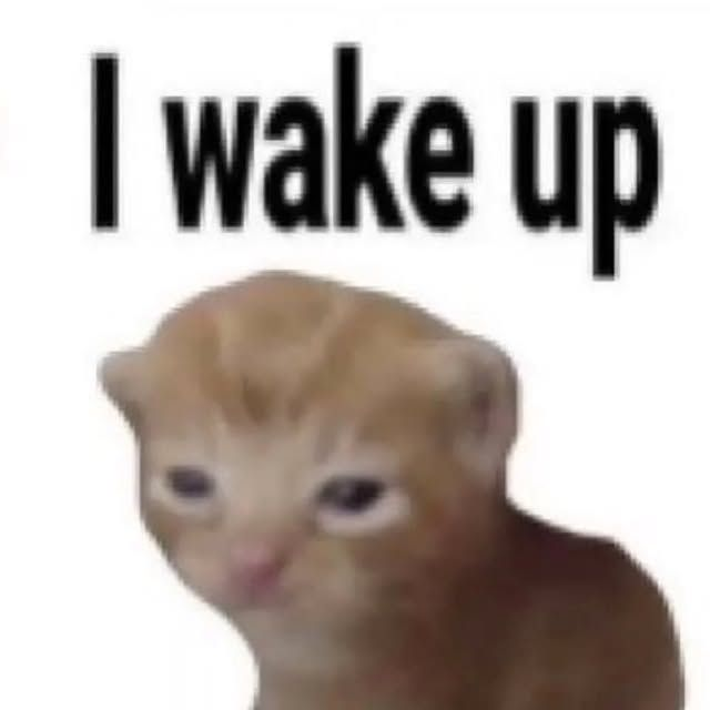 1750774117871.png
