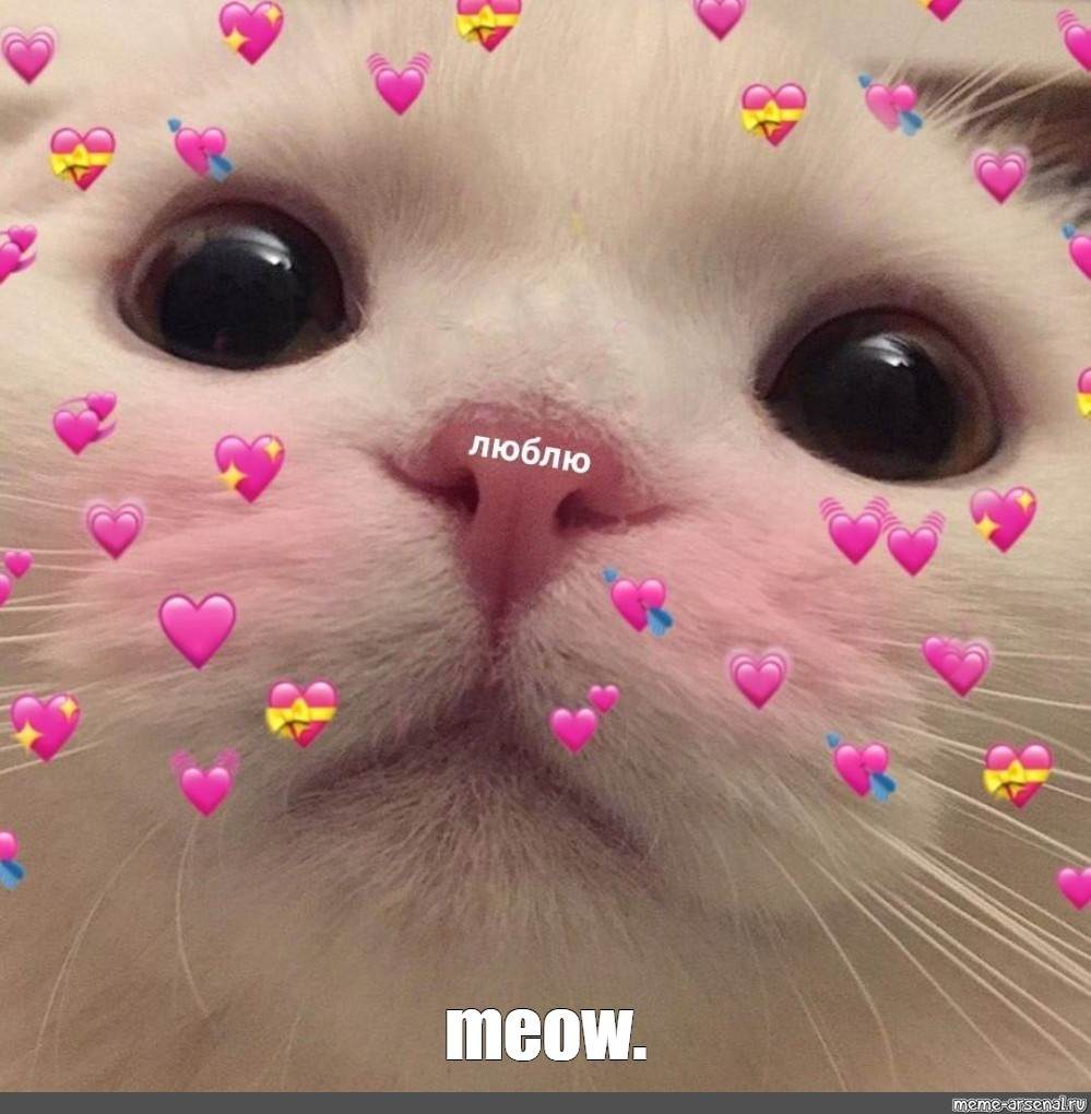 1751216904587.png