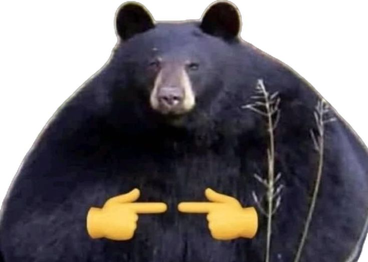 1751667021994.png