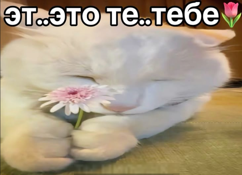 1753029234109.png
