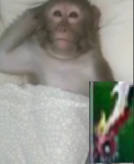 1753173875741.png