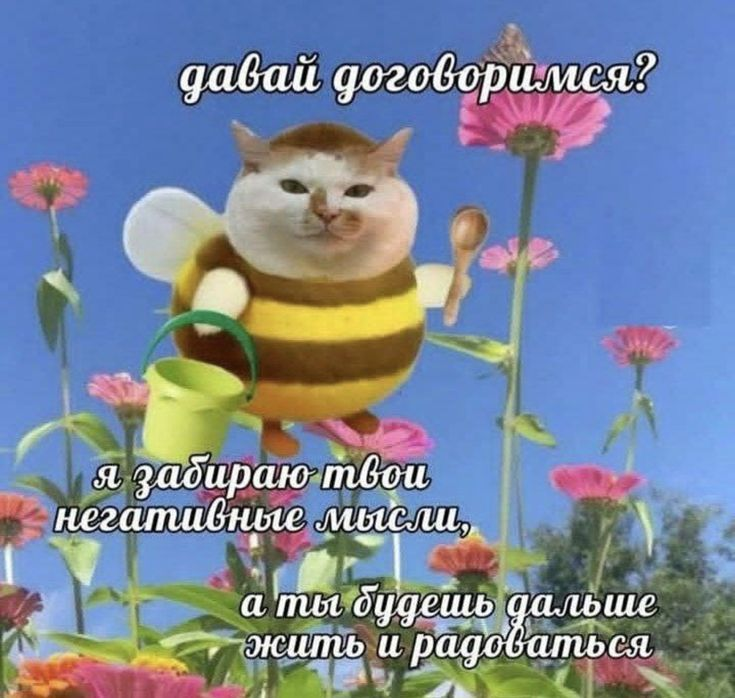 1753801377326.png