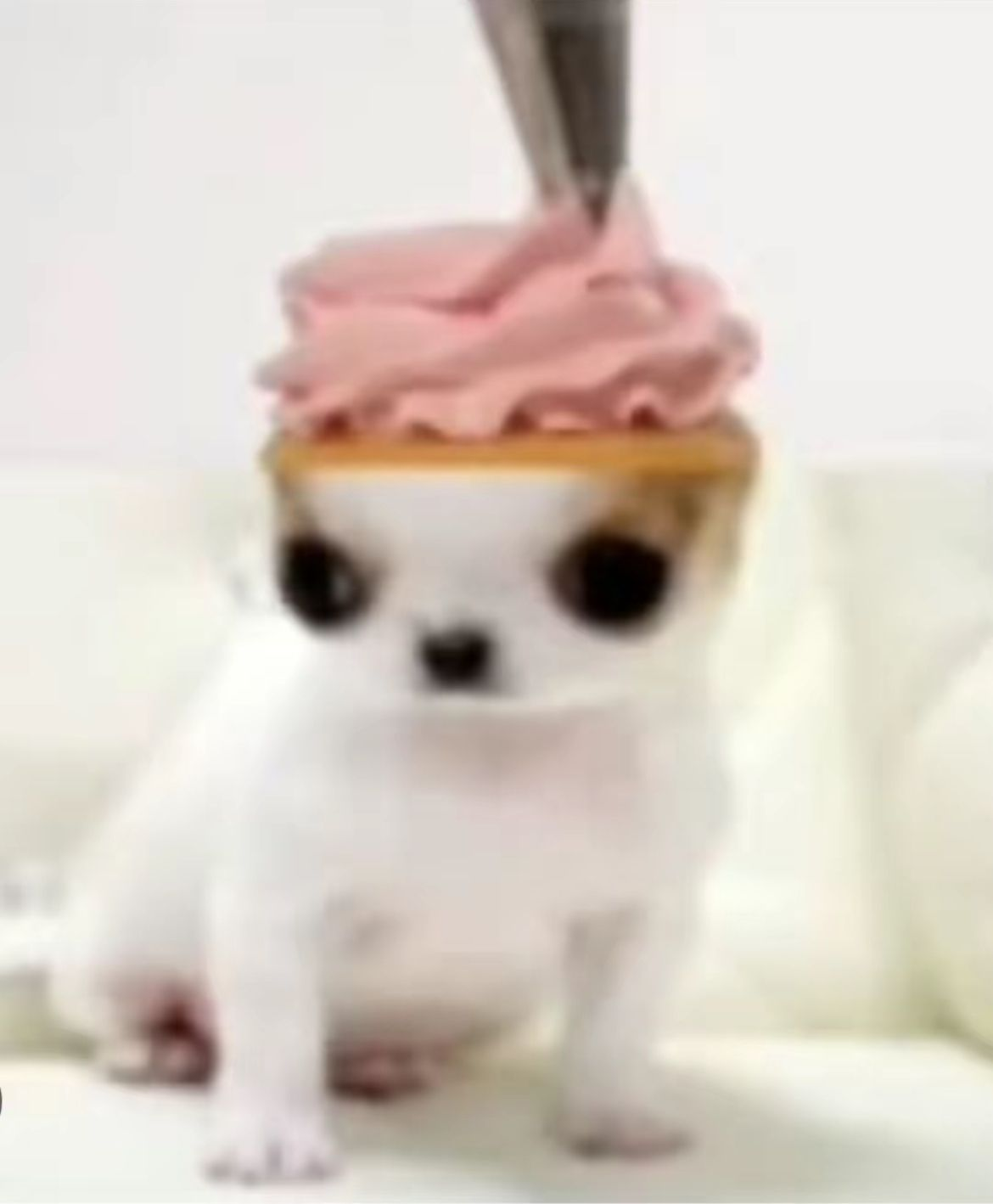 1754244376492.png