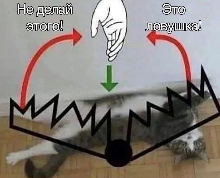 1754306135925.png