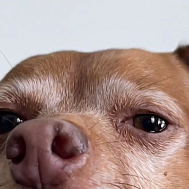 1754310308173.png