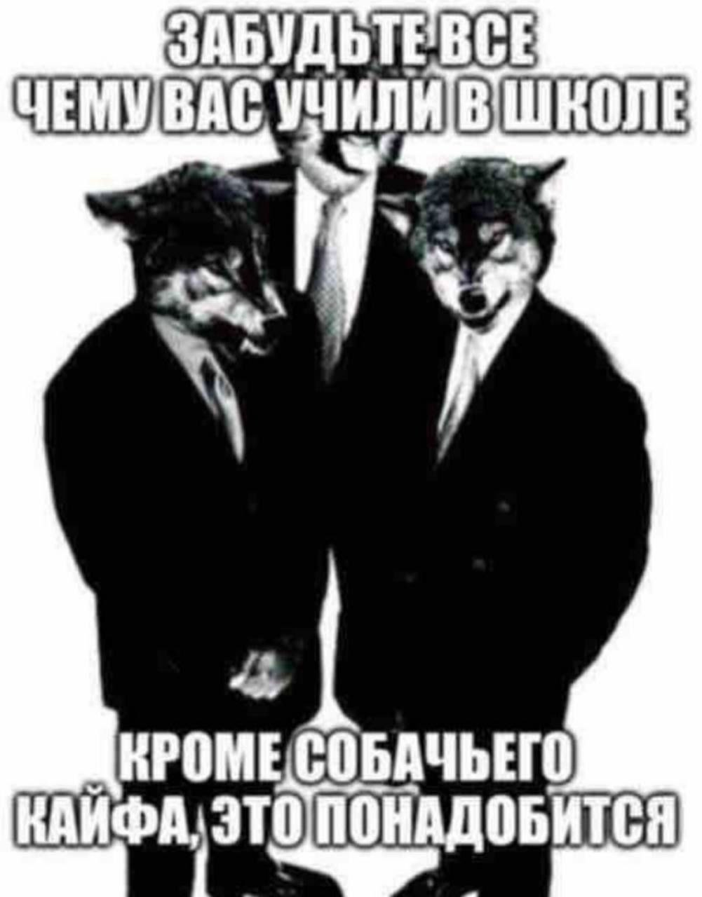 1754380766987.png